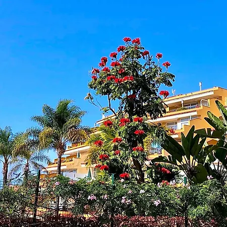 Apartment Tigaiga